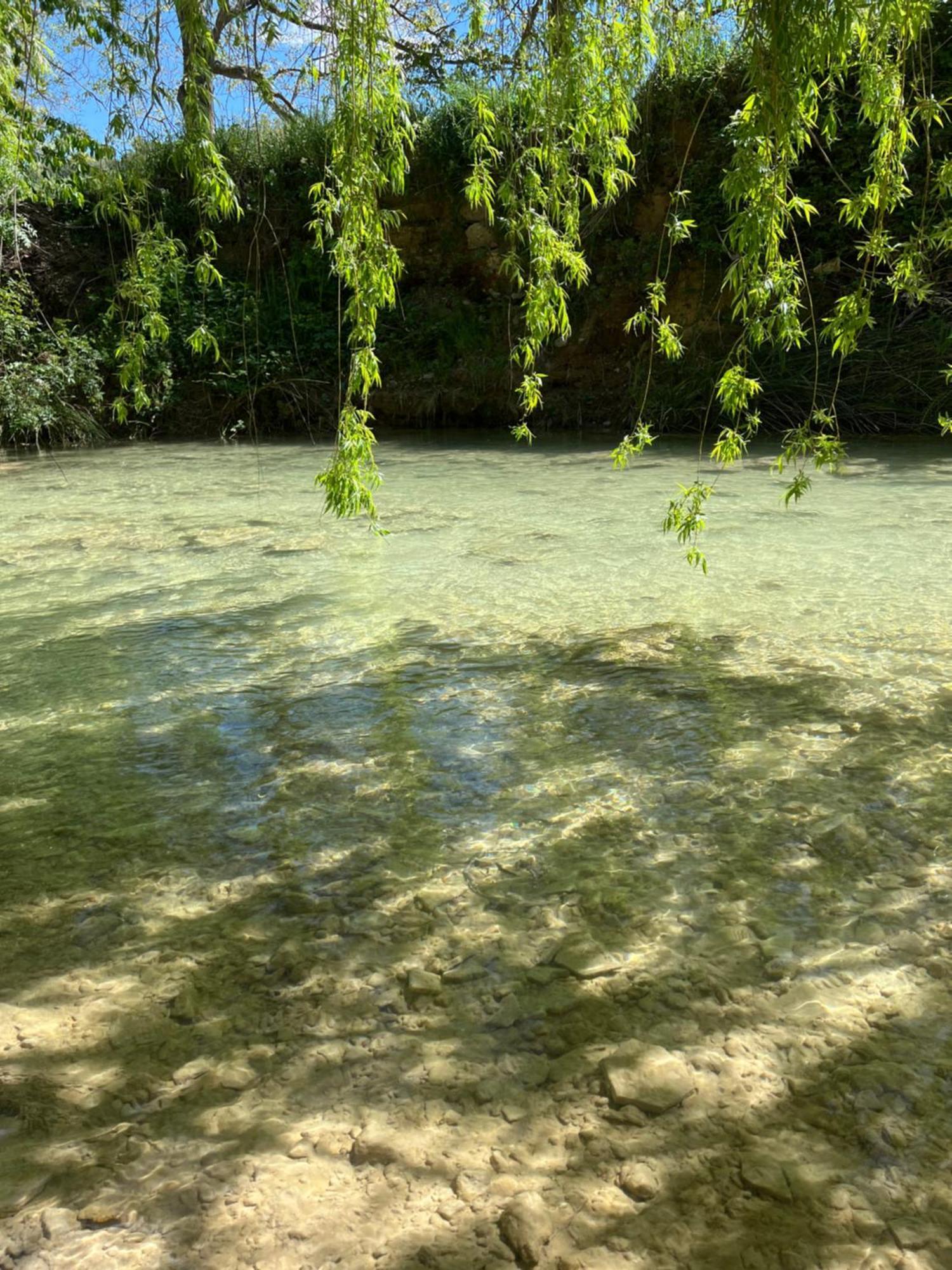 Hotel La Belle Riviere Salernes Esterno foto